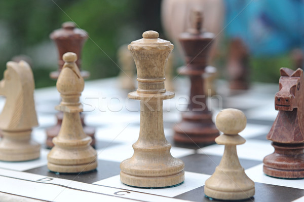 chess pieces on a table in the park Stock photo © inxti