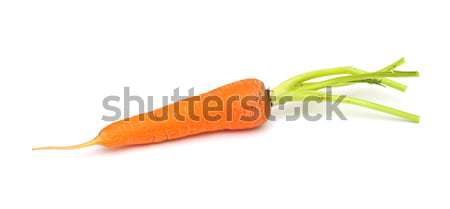 Carrot vegetable isolated on white background Stock photo © inxti