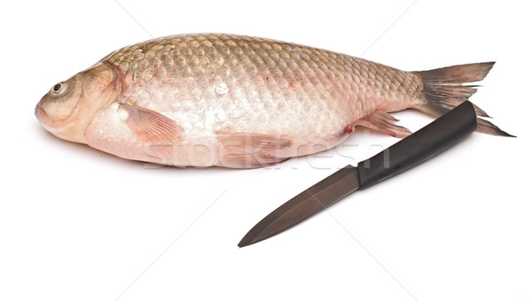 Karpfen Messer isoliert weiß Essen Hintergrund Stock foto © inxti