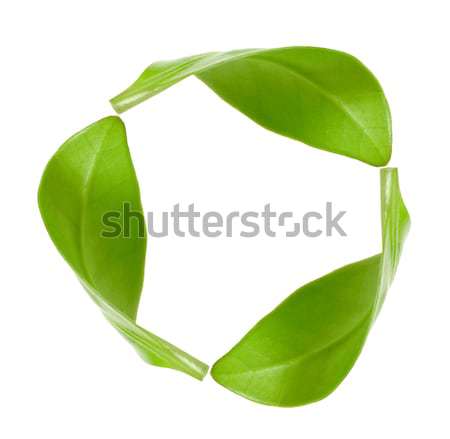 recycling symbol  Stock photo © inxti