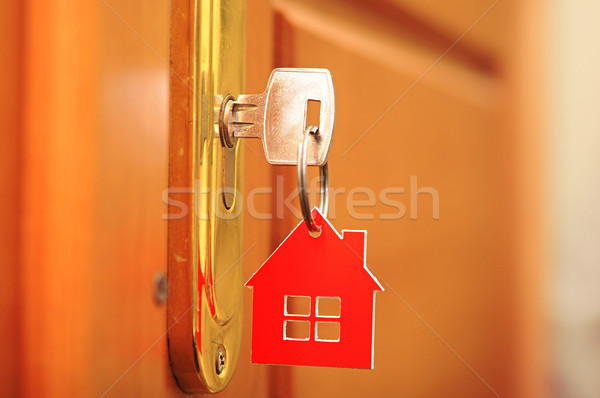 [[stock_photo]]: Clé · lock · maison · icône · famille · bâtiment