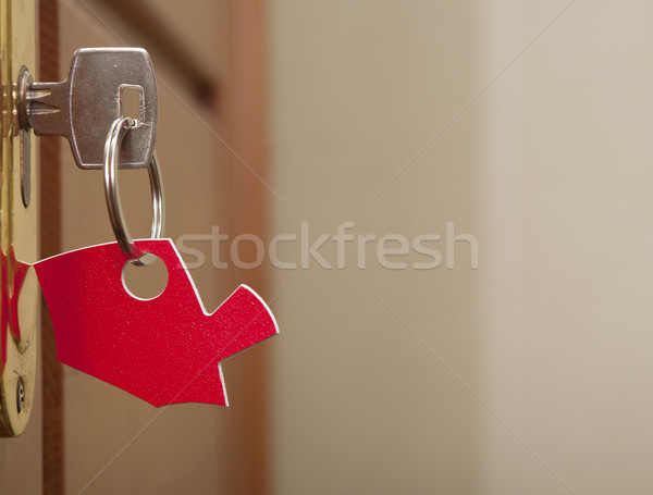 A key in a lock with house icon on it  Stock photo © inxti