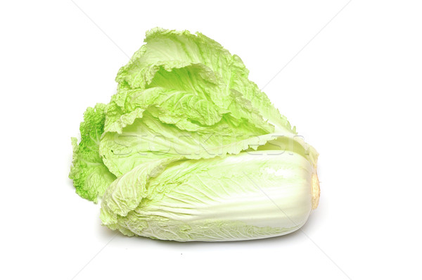 卷心菜 ·白· 食品 / one whole chinese cabbage on a white