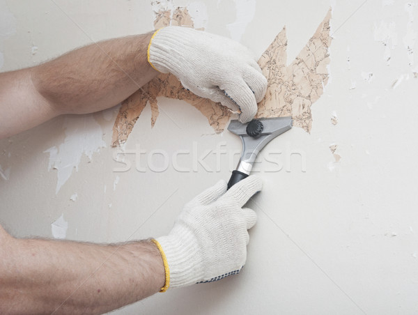 Hand removing wallpaper from wall  Stock photo © inxti