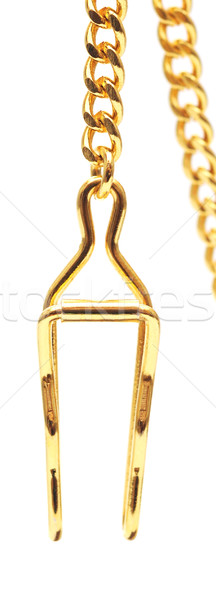 Gold chain isolated on white, closeup Stock photo © inxti