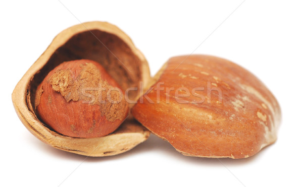 nuts a filbert  in a shell Stock photo © inxti