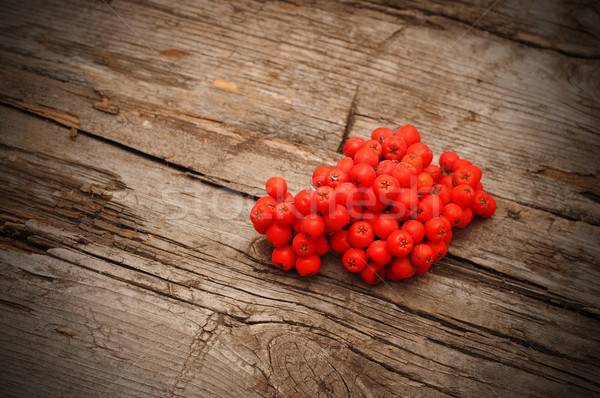 Bunch of red rowan on wooden texture  Stock photo © inxti