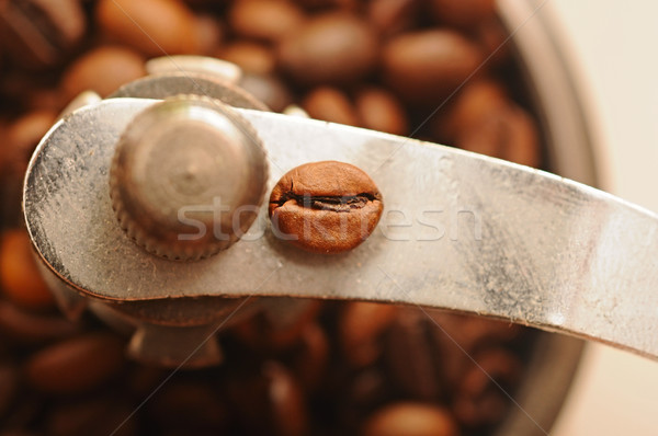 Close-up coffee beans in old manual coffee grinder Stock photo © inxti