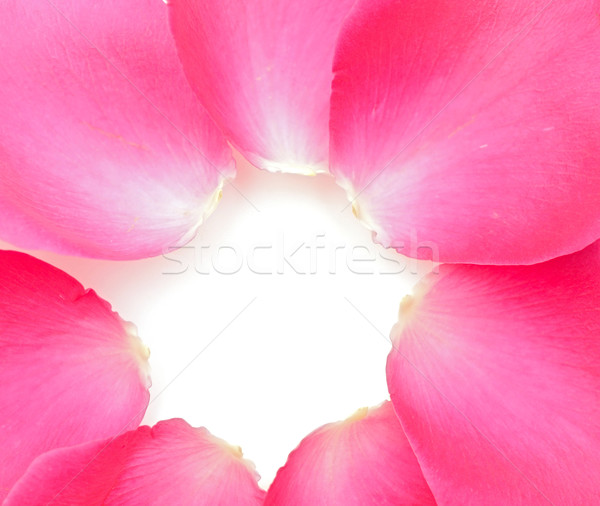 [[stock_photo]]: Fleurs · printemps · amour · fond