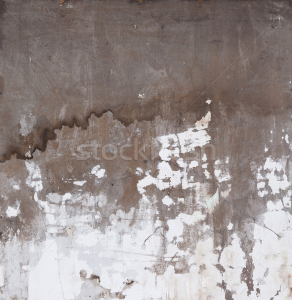 old wall texture  Stock photo © inxti