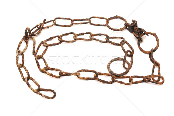very old rusty chain isolated on a white background Stock photo © inxti