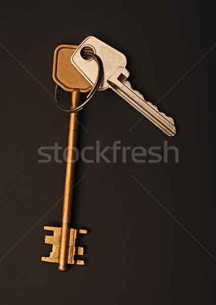 two keys to the apartment Stock photo © inxti