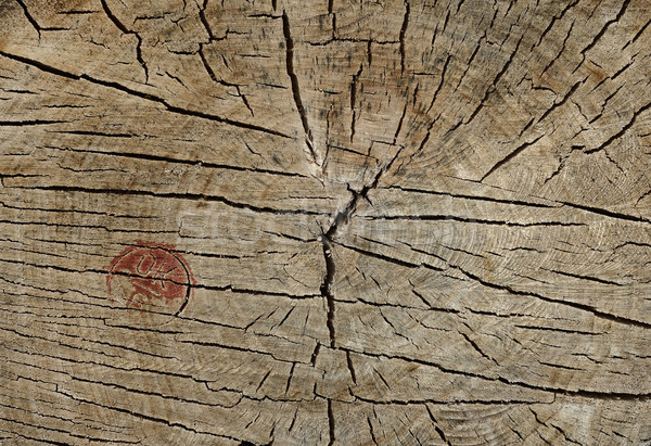 Zdjęcia stock: Streszczenie · crack · drewna · starożytnych · puszka · używany