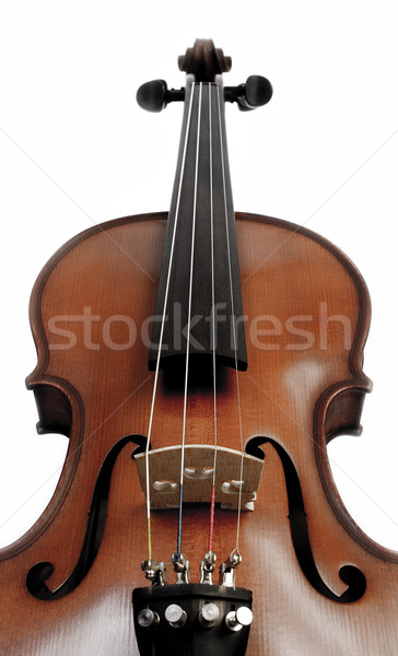 Violin over white Stock photo © iodrakon