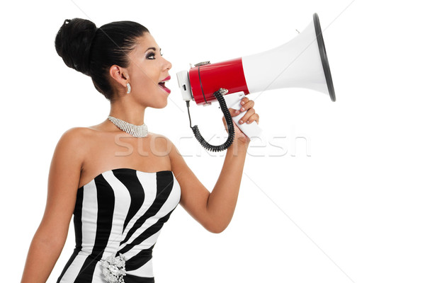 Wedding Planner Stock photo © iodrakon