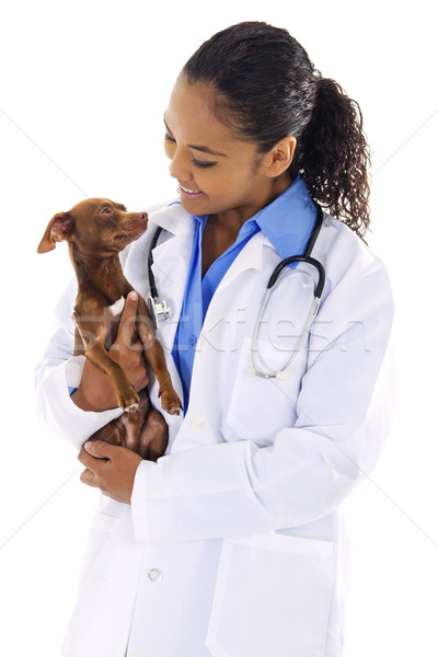 Tierarzt hat Bild weiblichen weiß Stock foto © iodrakon