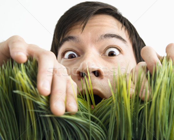 Surprised man behind grass. Stock photo © iofoto