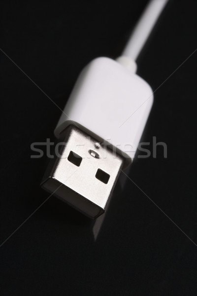 Firewire cord. Stock photo © iofoto