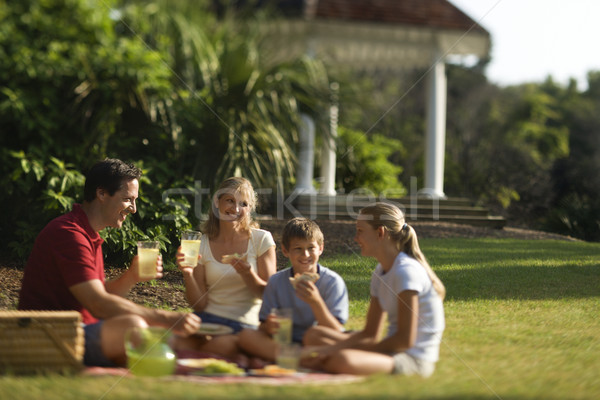 Rodziny jedzenie cztery piknik parku Zdjęcia stock © iofoto