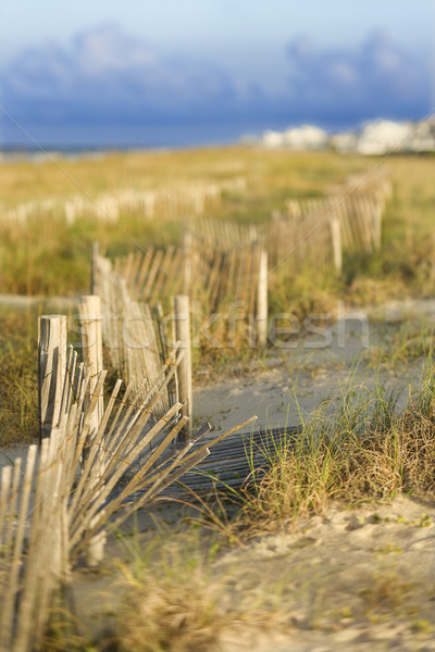 Naturelles dune de sable plage océan Voyage couleur [[stock_photo]] © iofoto