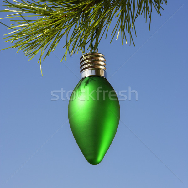 Ornament on tree. Stock photo © iofoto