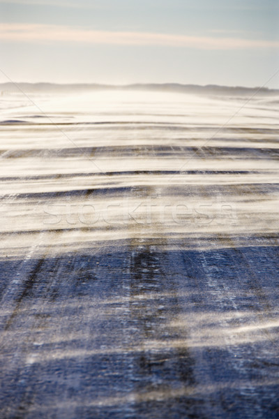 Ice covered road. Stock photo © iofoto