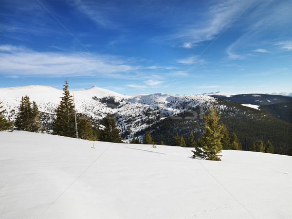 Montana paisaje nieve cubierto árbol color Foto stock © iofoto