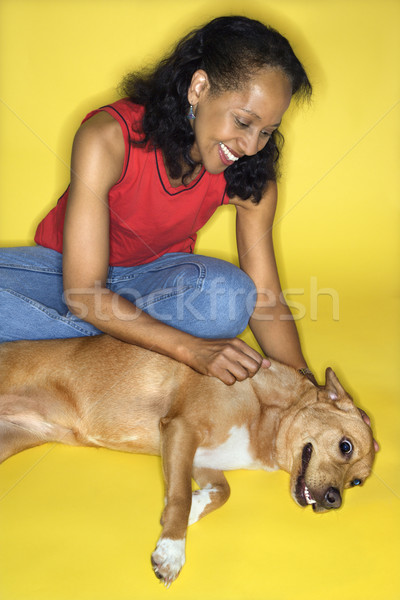 Woman petting dog. Stock photo © iofoto