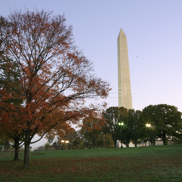 Washington monument. Stock photo © iofoto