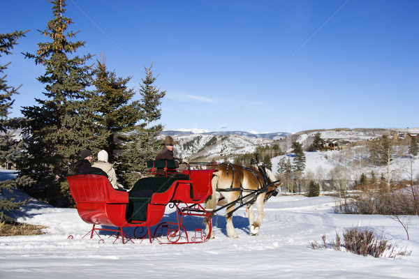 Winter sleigh ride. Stock photo © iofoto