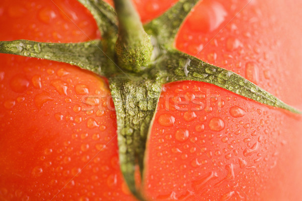 Tomato close up. Stock photo © iofoto