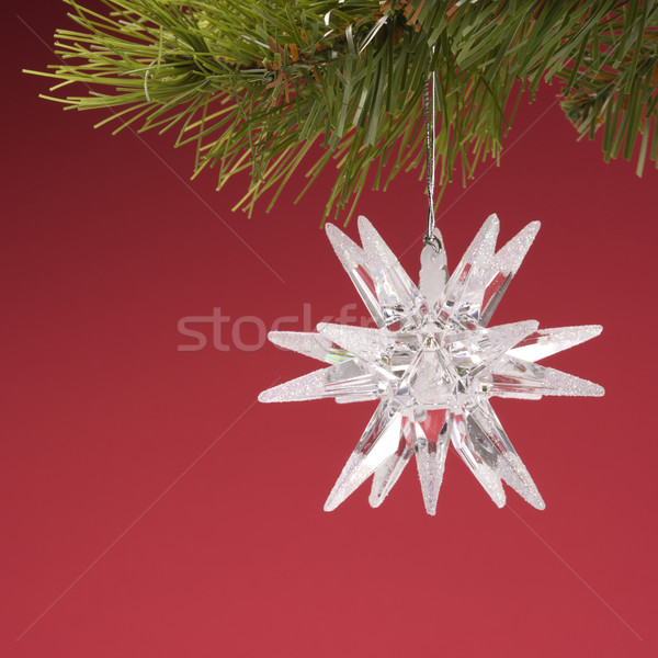 Star Christmas bulb. Stock photo © iofoto
