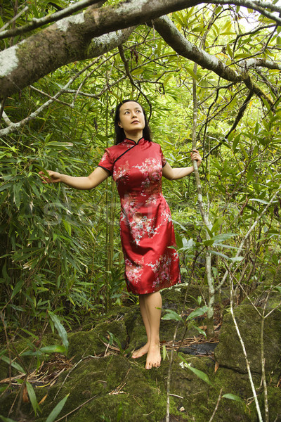 портрет азиатских американский женщину этнических Сток-фото © iofoto