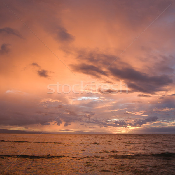 Maui sunset. Stock photo © iofoto