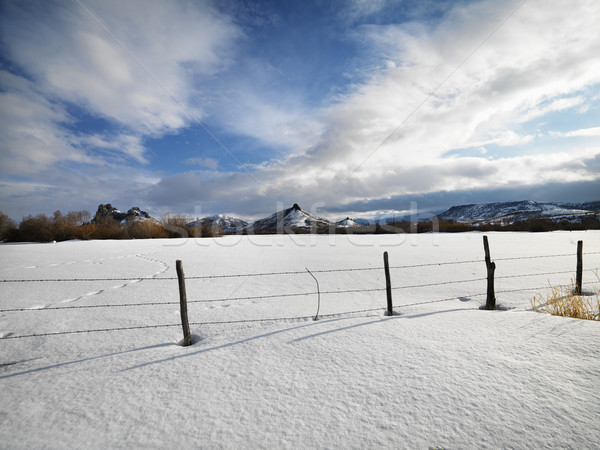 Colorado winter scenic. Stock photo © iofoto