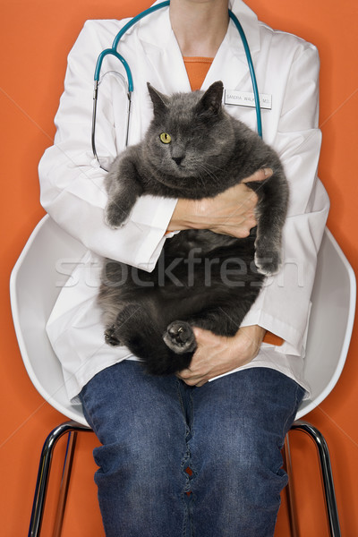 Stock photo: Veterinarian holding one eyed cat.