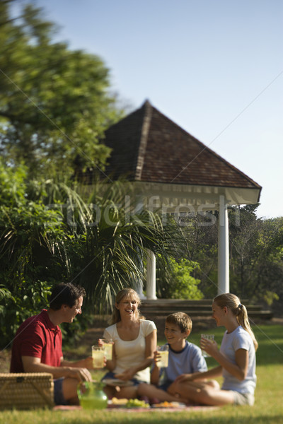 Család piknik kaukázusi négy park nő Stock fotó © iofoto