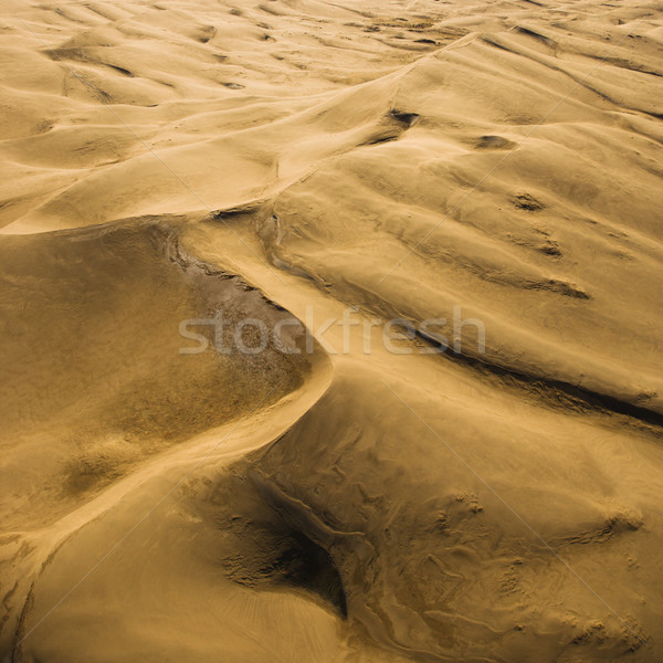 Great Sand Dunes NP, Colorado. Stock photo © iofoto