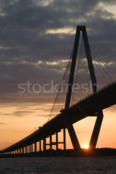 Cooper River Bridge in Charleston. Stock photo © iofoto