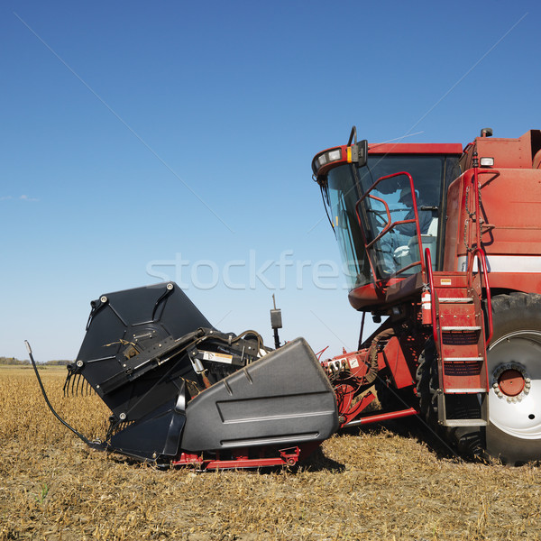 Combine harvesting. Stock photo © iofoto