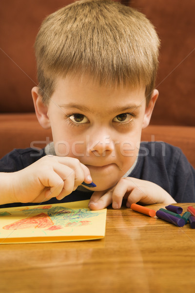 Menino desenho caucasiano giz de cera olhando criança Foto stock © iofoto