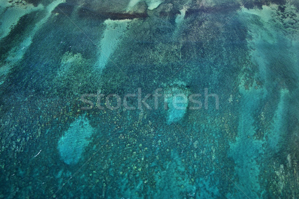 Reef in Pacific ocean. Stock photo © iofoto