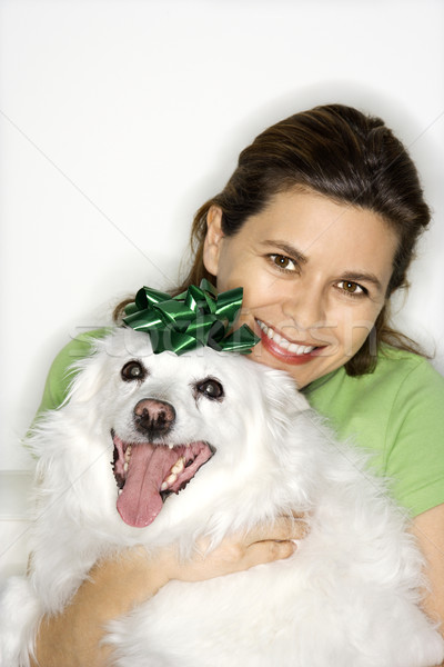 Woman holding white dog. Stock photo © iofoto