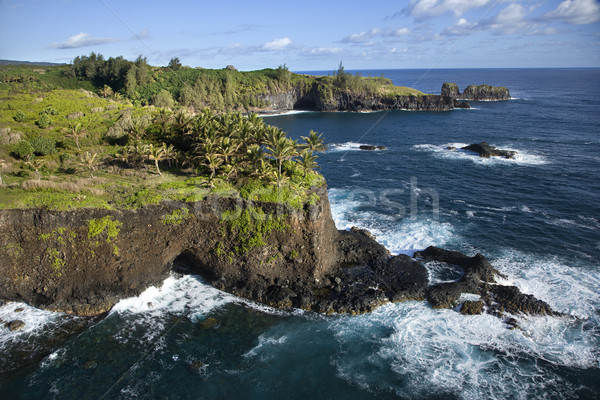 Maui coastline. Stock photo © iofoto