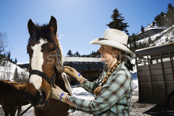 Attractive Young Woman Grooming Horse Stock photo © iofoto