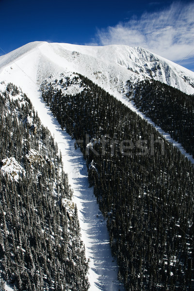 Snowy Mountain Peak Stock photo © iofoto