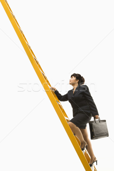 Zakenvrouw klimmen ladder aktetas Stockfoto © iofoto