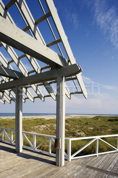 表示 ビーチ デッキ 海 草で覆われた ストックフォト © iofoto