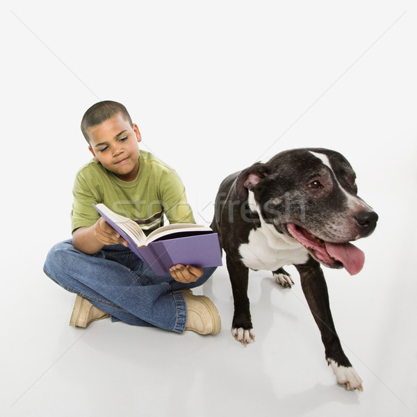 Nino lectura libro perro jóvenes hispanos Foto stock © iofoto