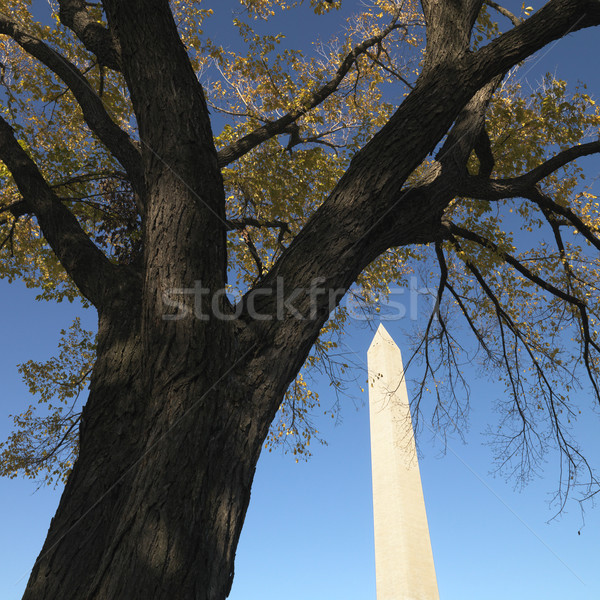 Foto stock: Washington · Monument · Washington · DC · EUA · cidade · pedra · cor